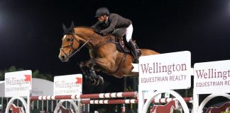 Daniel Bluman and Ladriano Z Double Down in $425,000 Wellington Equestrian Realty CIS5* Grand Prix