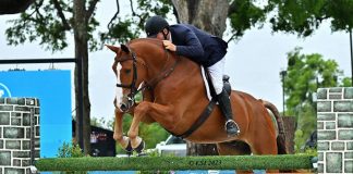 Daniel Geitner and Mr. Manhattan are Marvelous in $50,000 USHJA International Hunter Derby at HITS Ocala