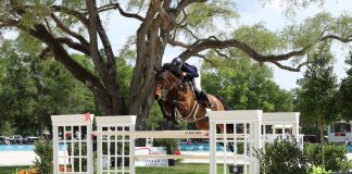 Lisa Goldman-Smolen and Ivaro N Strike Gold in Great American $300,000 Grand Prix at HITS Ocala