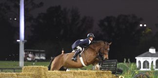 Schaefer, Douglas and Iwasaki Ride to Victory in Trio of $75,000 Hunter Derby Events at WEC – Ocala