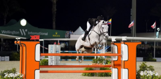 Sheer Levitin Surpasses Goals in Hermès U25 Semi-Final Grand Prix at WEF 8