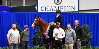 Kelly Lorek and MTM Campedu Claim $25,000 Hunter Classic Victory at Pin Oak Charity Horse Show