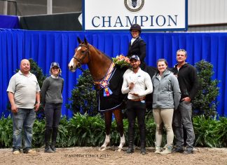 Kelly Lorek and MTM Campedu Claim $25,000 Hunter Classic Victory at Pin Oak Charity Horse Show