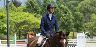How to Keep Your Show Shirts White