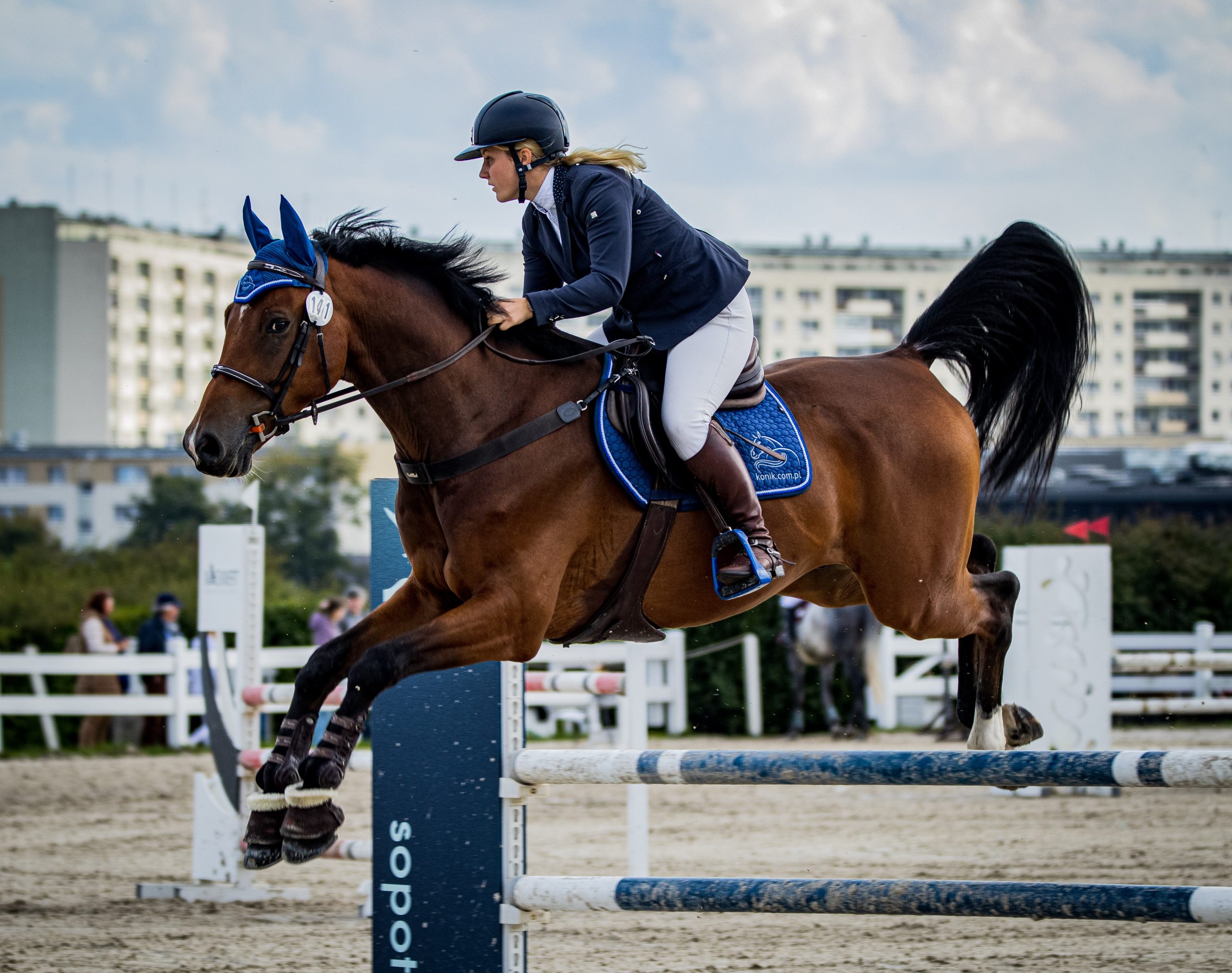 All You Need To Know About The Forthcoming 2023 Devon Horse Show And 
