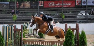 Emma Fass: Getting the Horse Show World Organized