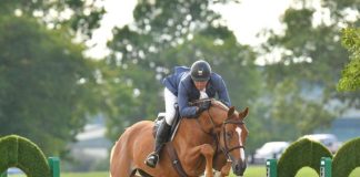 State of The Market: An Exciting Time in the Sport Horse Marketplace