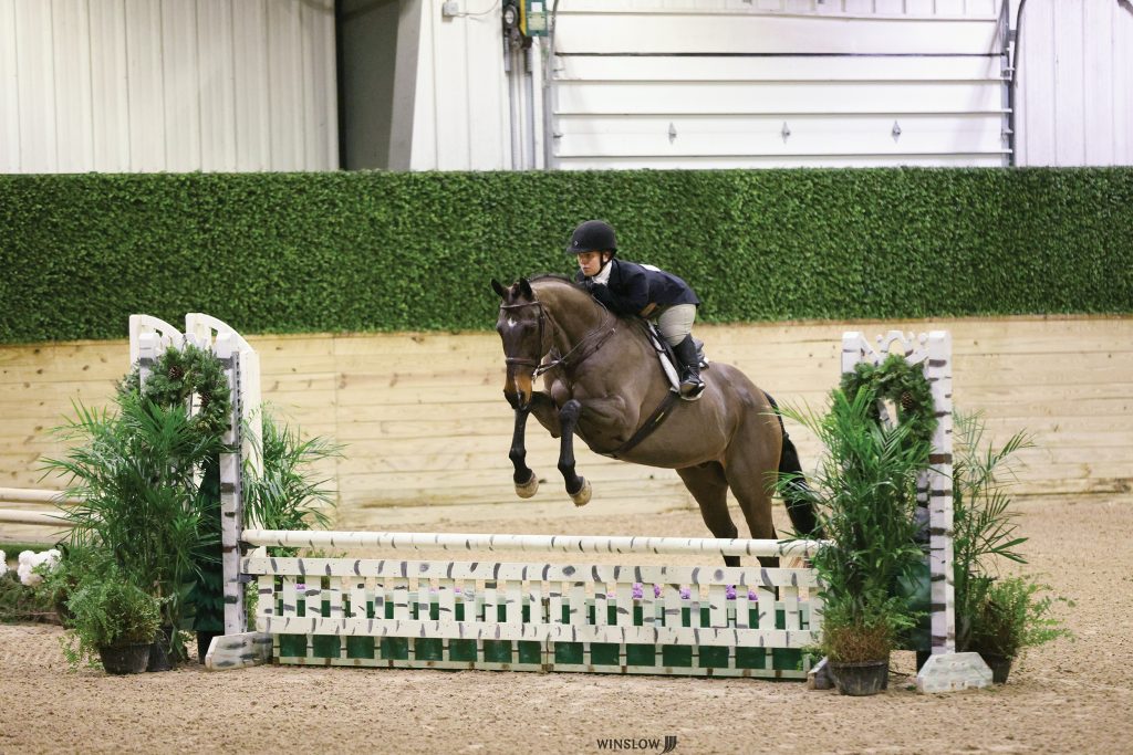 The Plaid Horse Questionnaire with Britt Bardwell