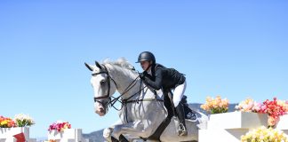PCHA Profile Spotlight: Valentina Lehner