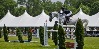 Beyond the Reins: Harnessing the Four Pillars of Equestrian Fitness