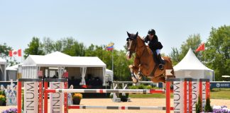 Margie Engle Plays Her Jackofhearts to Kick Off Traverse City Spring Horse Shows