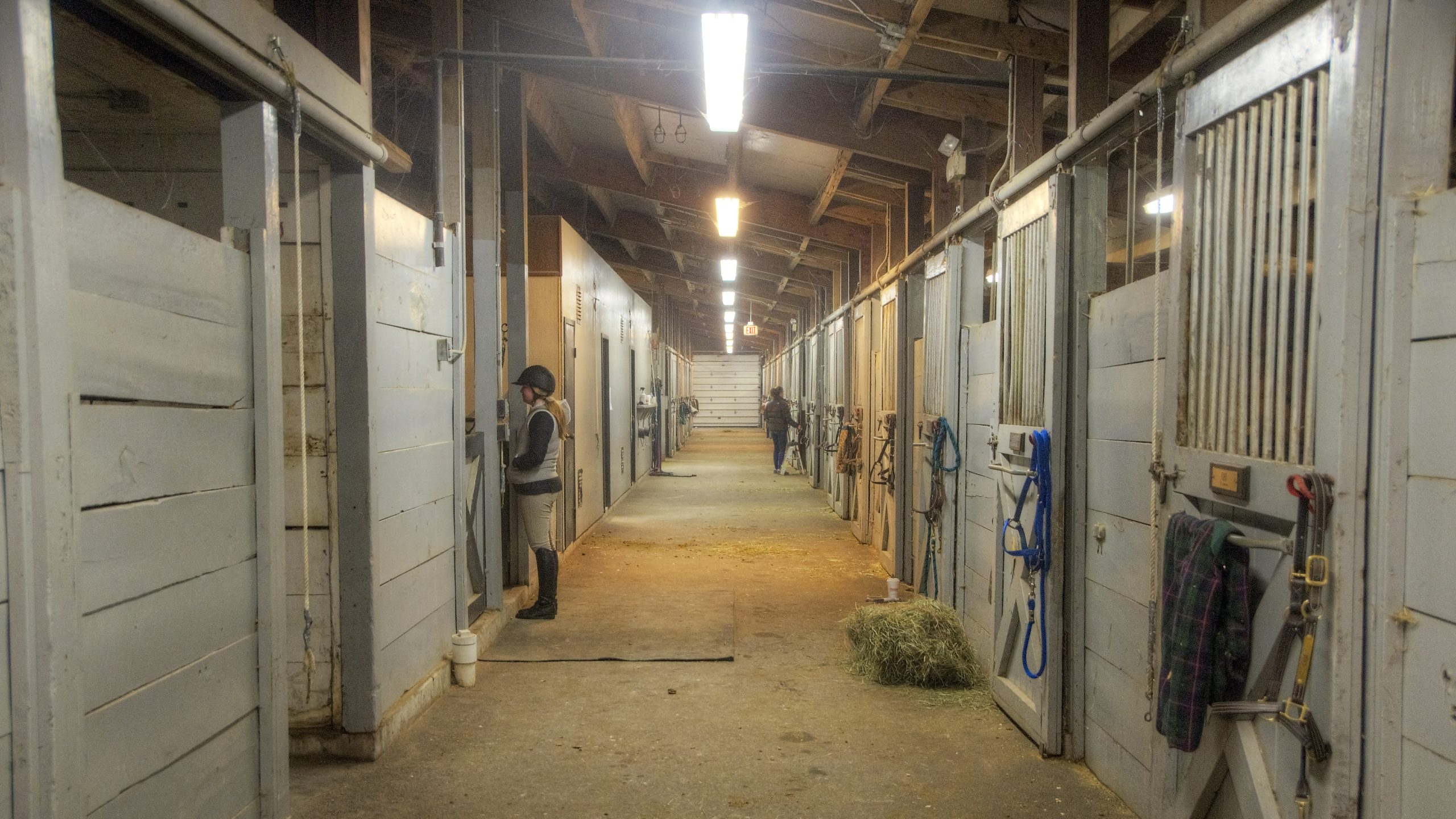 A Rudimentary Stable Respecting The Rules: It's The Little Things - The Plaid Horse Magazine
