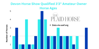 How Old are the Amateur Owner Hunter Horses at The Devon Horse Show? Amateur Owner Hunter Horses