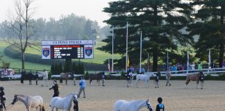 2023 USHJA Gochman Grant for USEF Pony Finals Recipients Announced