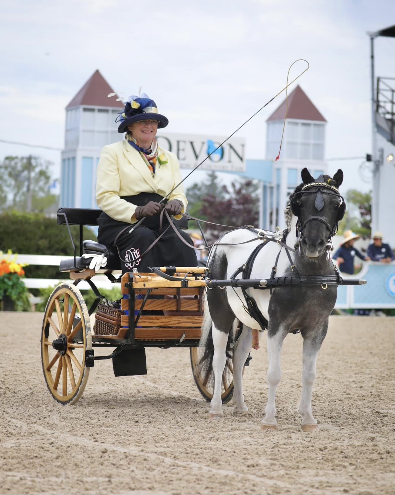 Smudge The Omega Horse Rescue Alum The Plaid Horse Magazine