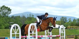 McLain Ward Maintains Win Streak with Alanine De Vains in $100,000 HITS Grand Prix