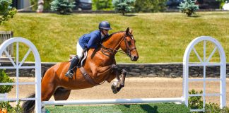 Alexa Bayko and Mr. Matcho Are Marvelous in Green 3’3” Hunters at HITS Saugerties