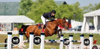 Karl Cook and Caracole de la Roque Click to Win $38,700 C. Jarvis Insurance 1.45m Welcome CSI2* at Split Rock Jumping Tour