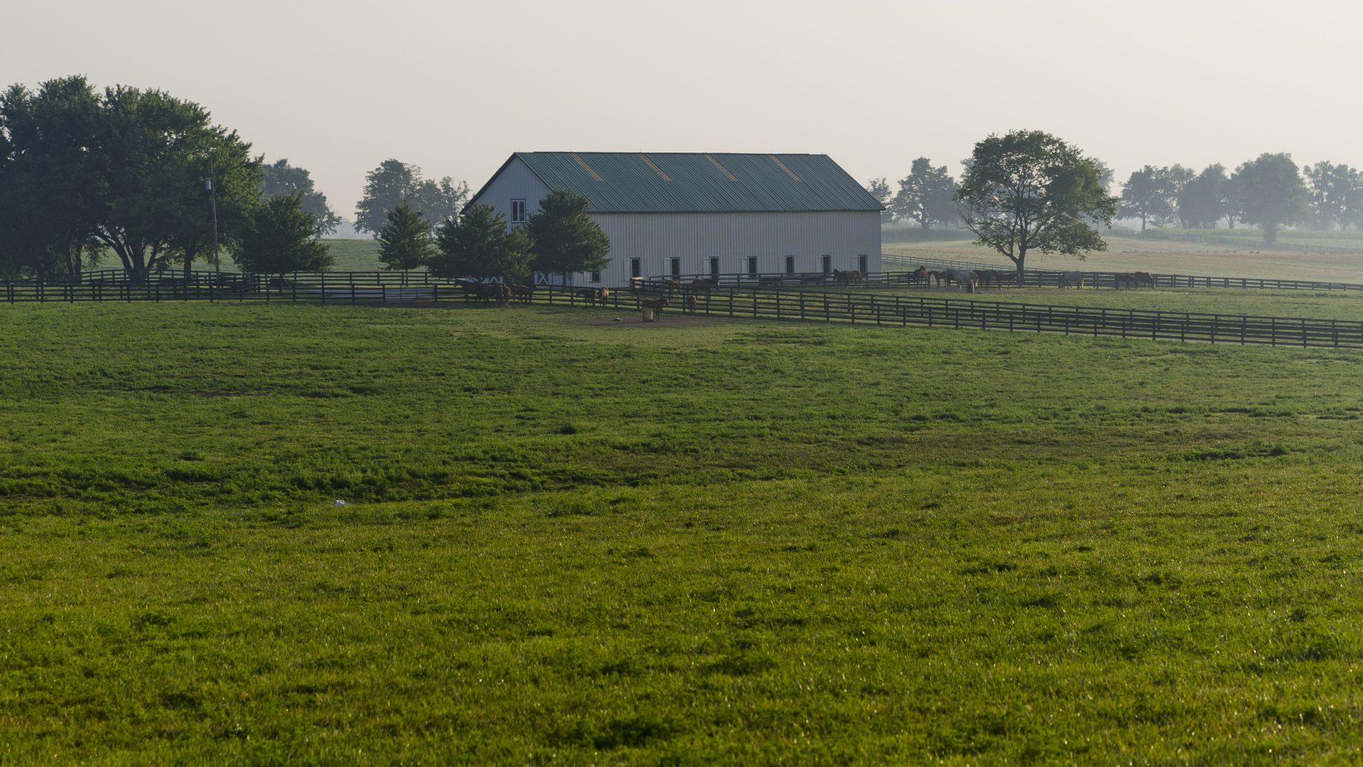 Hay is For Horses The Plaid Horse Magazine
