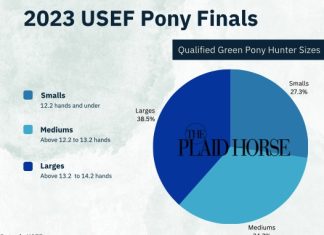 Qualified Green Pony Hunter Sizes at 2023 USEF Pony Finals
