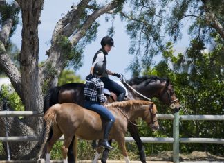Ride Playfully, Learn Effectively