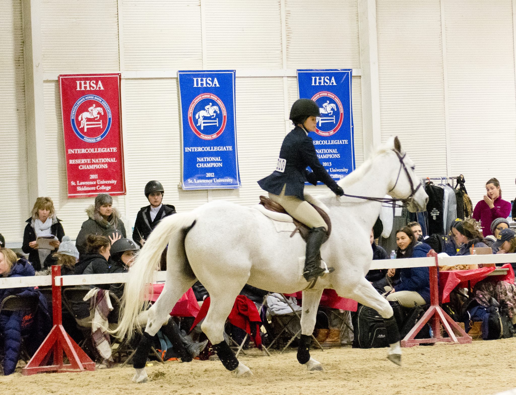 The Many Options for College Equestrians The Plaid Horse Magazine