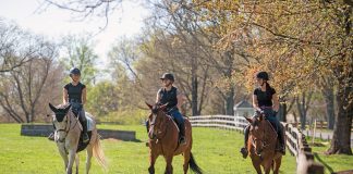 One Big Family: Garrison Forest School’s Equestrian Institute