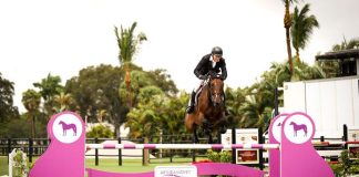 Sharn Wordley and Brin D’Or de Haute Melen Z Win Arthramid® Vet Grand Prix to Close Out ESP Summer II