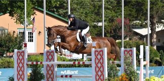 Tracy Magness and Intenz Van HD Have Incredible Rounds in $20,000 HITS Open Prix at HITS Culpeper