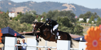 Karrie Rufer and Stern dei Folletti Steal the Spotlight in $100,000 Lugano Diamonds 1.45m Grand Prix CSI2* at Split Rock Paso Robles