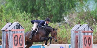 Katrina Pattinson’s Con Glassa and Leslie Steele’s No Reservations Shine in CPHA West Coast Green Hunter Incentive Championships