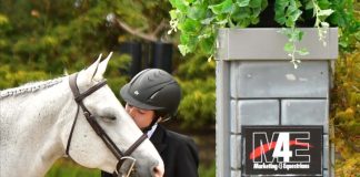 Showplace Productions and Marketing4Equestrians Present the 2023 IHJA B Finals Winners