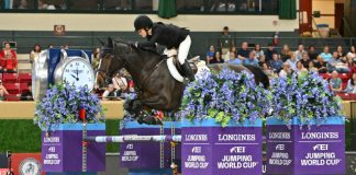 Brego R’n B & Dinan Delight WIHS Crowd with a World Cup Win