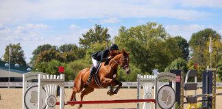 Fourth Time’s The Charm in the $20,000 TAKE2 Hunter/Jumper Finals