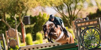 The Plaid Horse Questionnaire With: Nick Haness