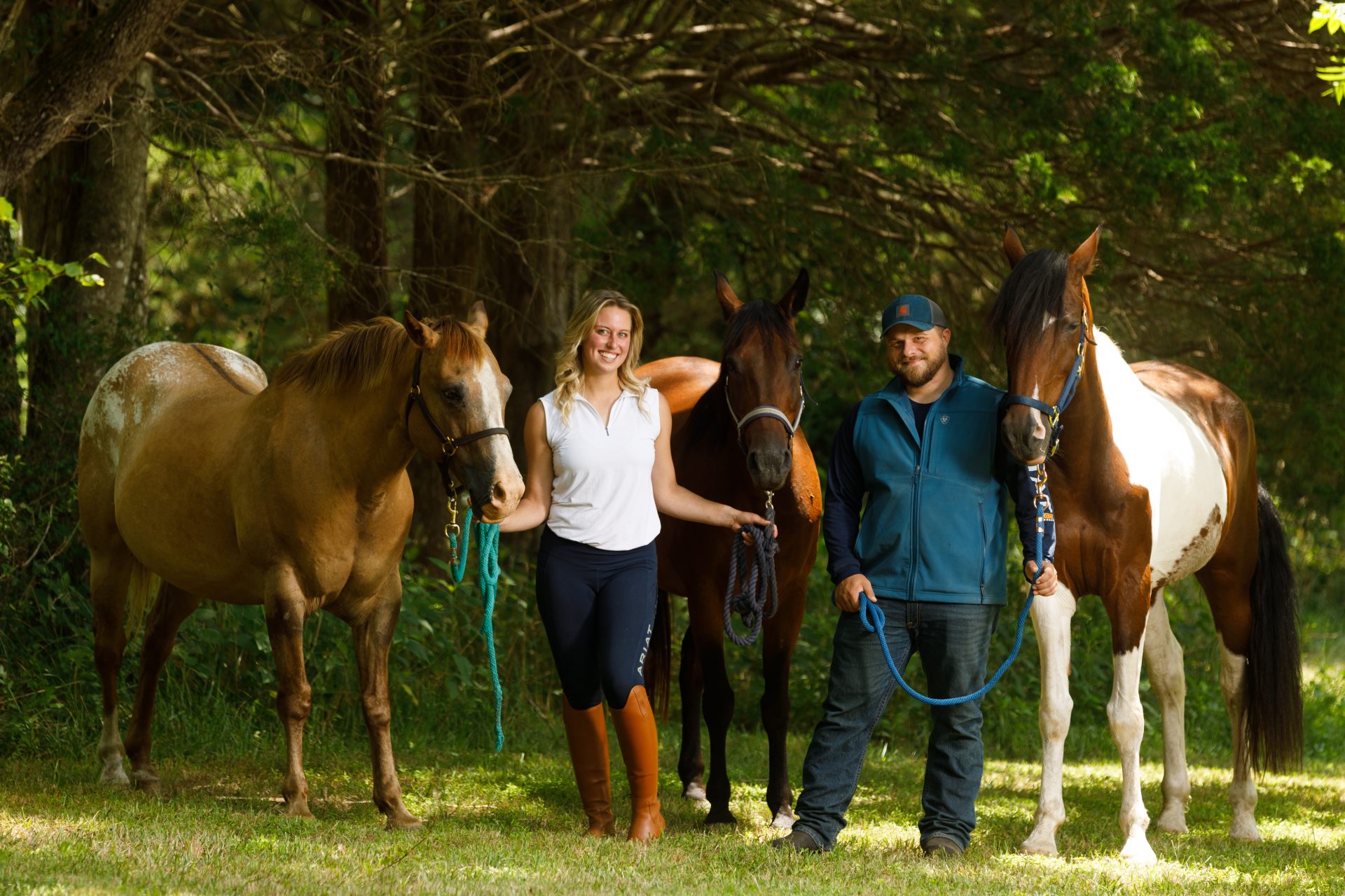 The Horselux App A Digital Equine Care Revolution The Plaid Horse