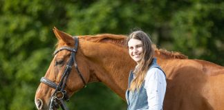 Why Correct Bridle Fit Is a Key Piece In the Horse Wellbeing Puzzle