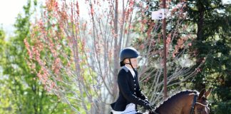 The Dressage Foundation Selects Five Young Riders to Participate in Dream Program: Wellington 2024