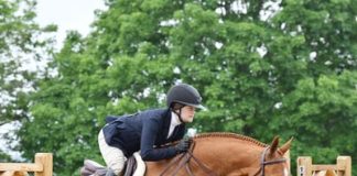 Lindsey Gibbons Grabs 2023 USHJA Adult Horsemanship Quiz Challenge National Title