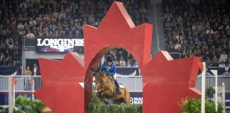 Quasi Cool and Phillip Dutton Dominate Mad Barn Indoor Eventing Challenge