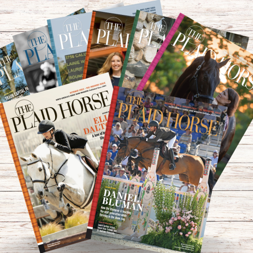 The Plaid Horse Yearly BOX Subscription