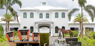 Equine Elixirs: You Can Lead A Horse To Water … And Now, You Can Make Them Drink!