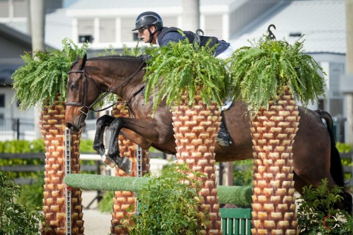 Michael Tokaruk & Fenway