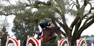 Sharn Wordley and Valentine Car Go First and Get First in $25,000 Horseflight Grand Prix