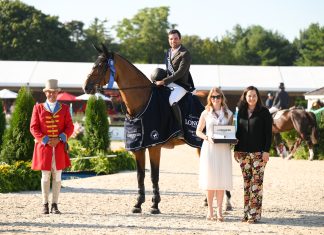 Daniel Bluman: How the Olympian Is Teaching the Next Generation While Thriving in the Show Ring