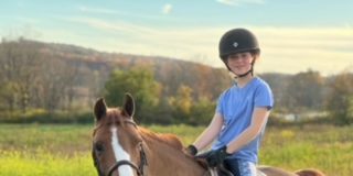 New Pony, No Limits