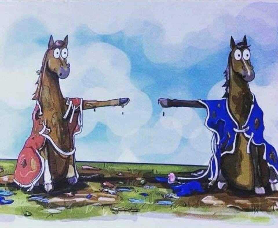 Blanketing Questions Answered in Brand New Happy Horse Forecast App