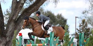 Damico Dominates in $25,000 Alliant Private Client Grand Prix