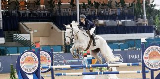 NCEA Distinguished Alumni Award to Erin Prutow