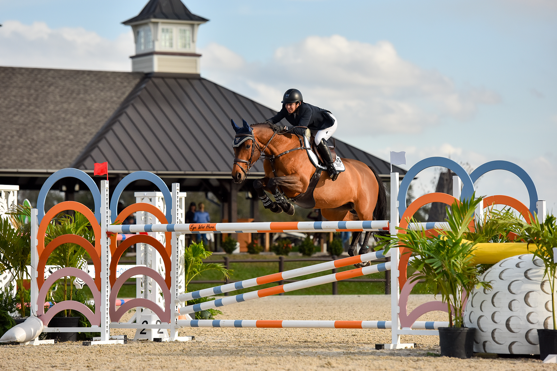 Marylisa Leffler and Zaza Z Reign Supreme at Sarasota Winter